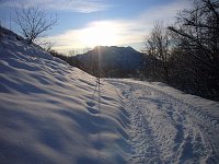 CIASPOLATA NELLA “DOLCISSIMA “ VALLE DI SALZANA, SOLCO LATERALE DELLA VAL TALEGGIO il 26 dicembre 08 - FOTOGALLERY